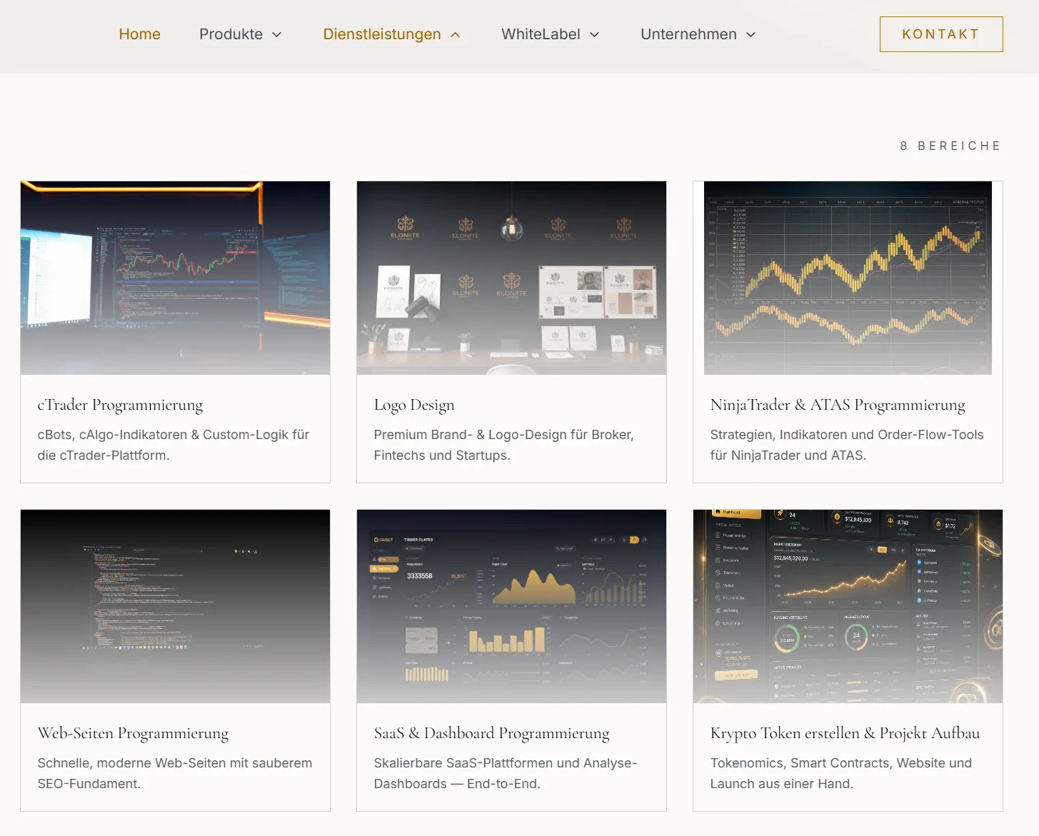 Web development